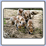 ������. ���� 900x660. ��������?