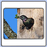 �������. ���� 900x680. ��������?