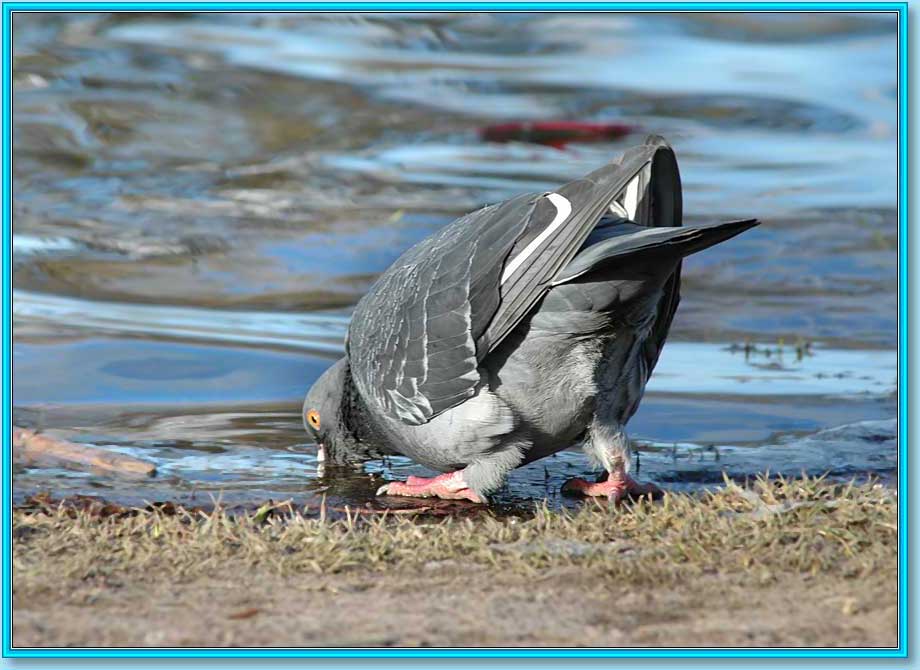 ������. ���� 920�670 (75kb)