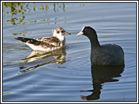 ������ � ������ �����