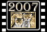 Calendar for 2007 and Foxes